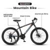 S24102 24 Inch Mountain Bike Boys Girls, Steel Frame, Shimano 21 Speed Mountain Bicycle with Daul Disc Brakes and Front Suspension MTB