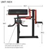 Bicep Tricep Curl Machine with Adjustable Seat, Bicep Curls and Tricep Extension Machine Home Gym